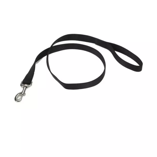 Coastal 6′ Nylon Pet Leash