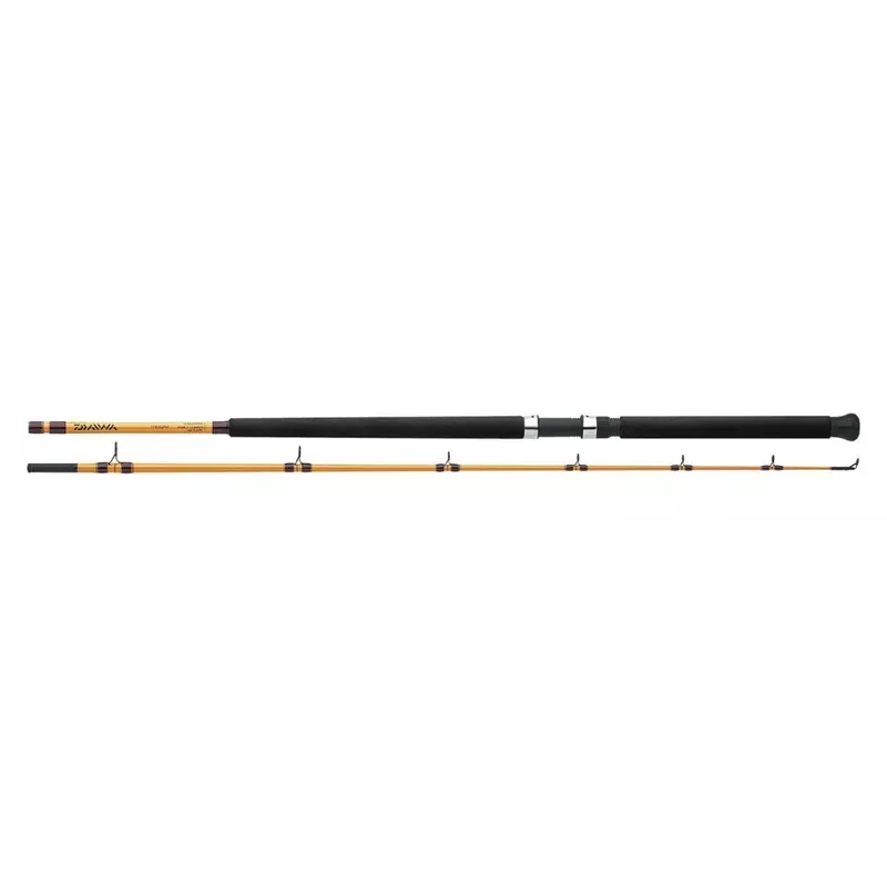 Daiwa FT Boat Spinning Rod
