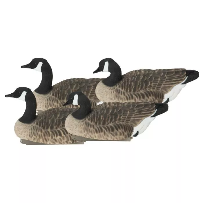 GHG Pro-Grade XD Canada Floater Decoys - Active Pack - (4 Pack)