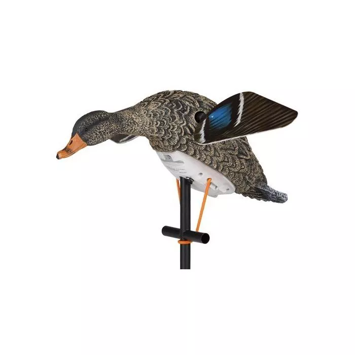Lucky Duck HD Hen Mallard Spinner