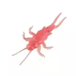 Northland Impulse Stonefly 1″ Pink White