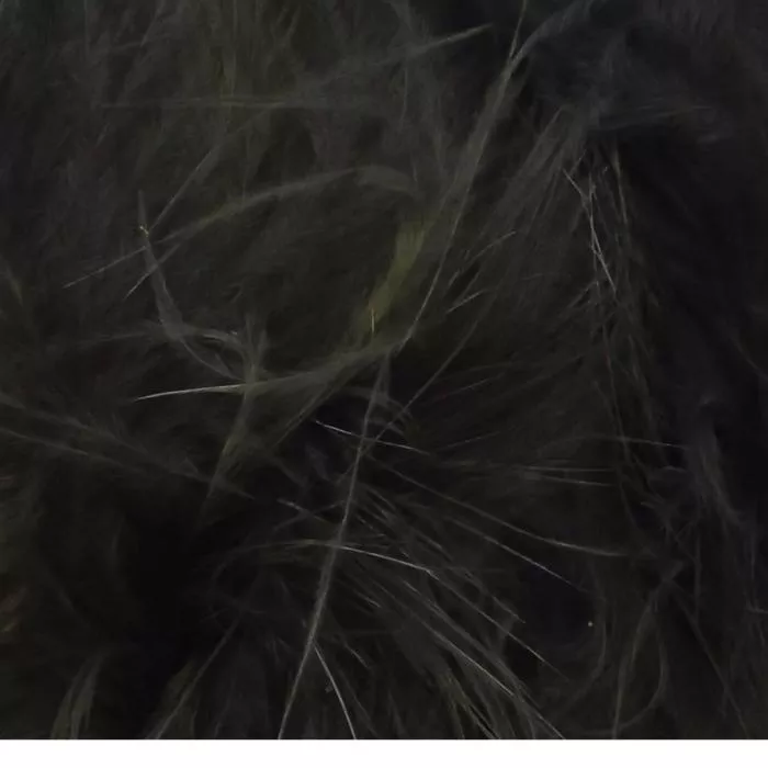 Wapsi Marabou Wooly Bugger