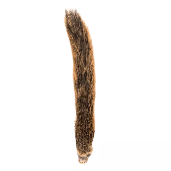 Wapsi Squirrel Tail